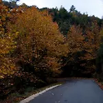 Αλαγονία Ξύλινα Καταλύματα Αλαγονία