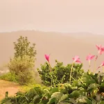 Αλαγονία Ξύλινα Καταλύματα Σαλέ Αλαγονία