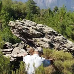 Σαλέ Αλαγονία Ξύλινα Καταλύματα *