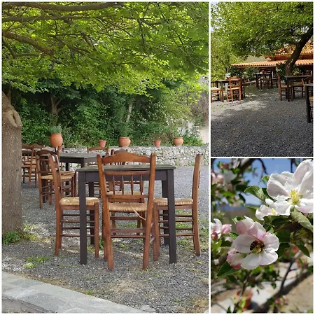 Alagonia Country Homes Alagonía