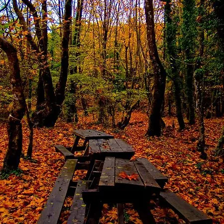 Chalet Alagonia Country Homes Alagonía