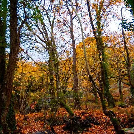 Chalet Alagonia Country Homes Alagonía