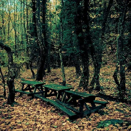 Chalet Alagonia Country Homes *