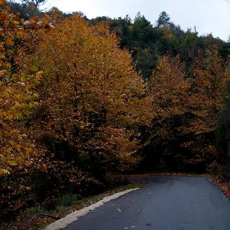 Alagonia Country Homes Alagonía