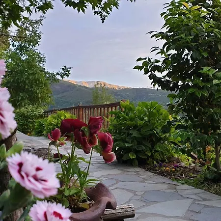 Alagonia Country Homes Chalet