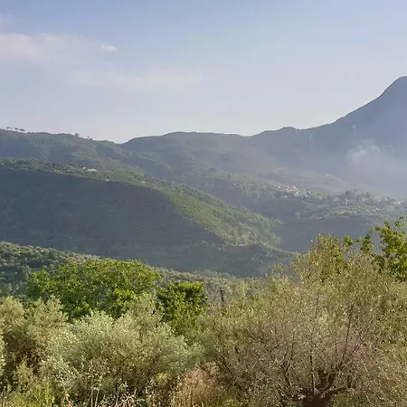 Alagonia Country Homes