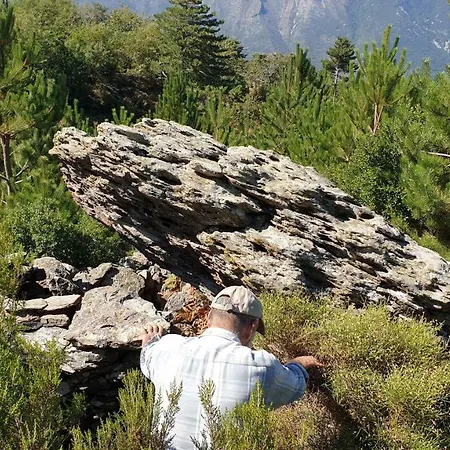 Chalet Alagonia Country Homes *