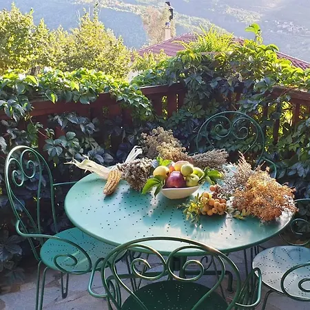 Alagonia Country Homes Chalet *