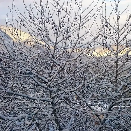 Chalet Alagonia Country Homes