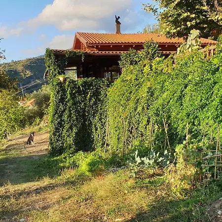 Alagonia Country Homes Chalet