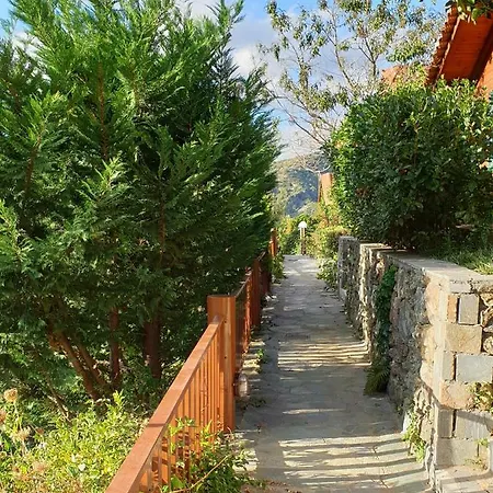 Alagonia Country Homes * Alagonía