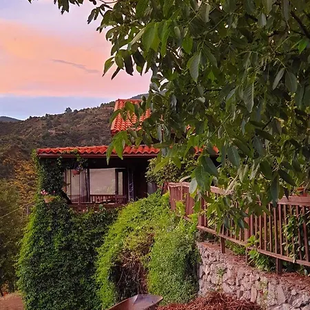 Alagonia Country Homes