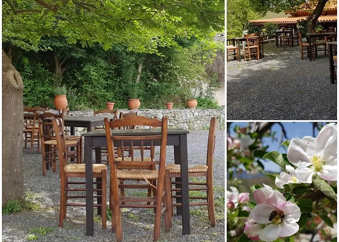 Alagonia Country Homes Alagonía