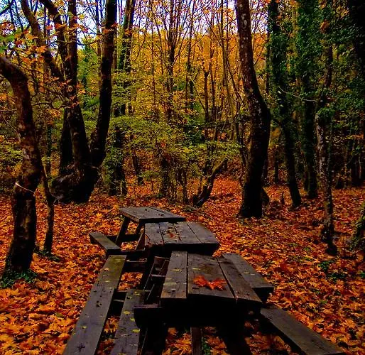 Alpehytte Alagonia Country Homes Alagonía
