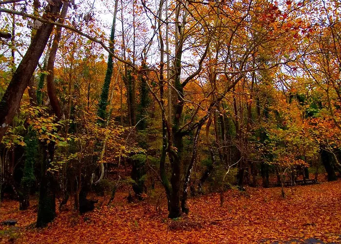 Alagonia Country Homes Alagonía