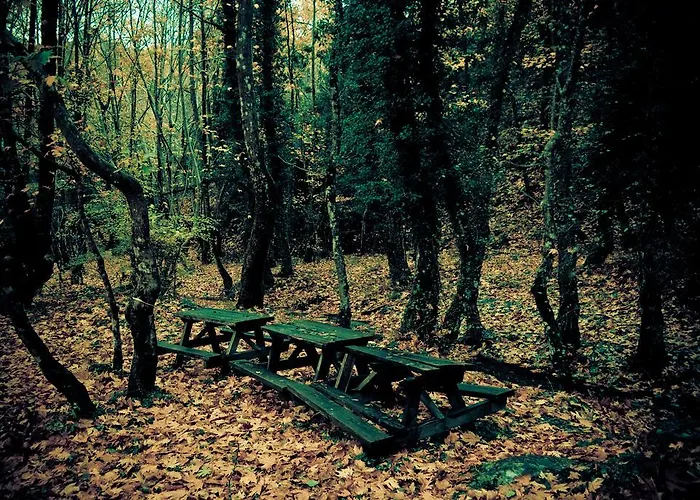 Alpehytte Alagonia Country Homes *