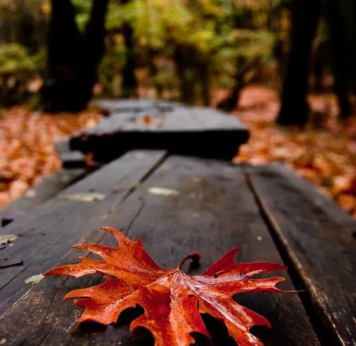 Alagonia Country Homes Alagonía