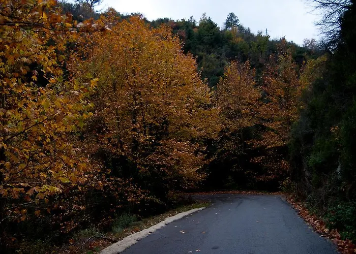 Alagonia Country Homes Alagonía