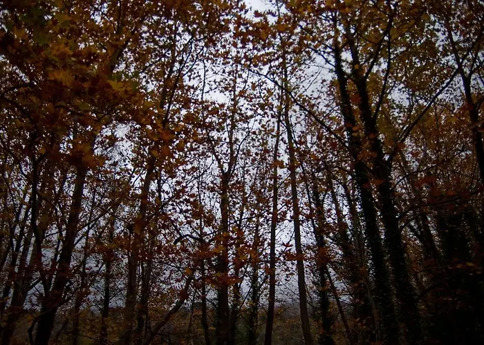 Alpehytte Alagonia Country Homes Alagonía