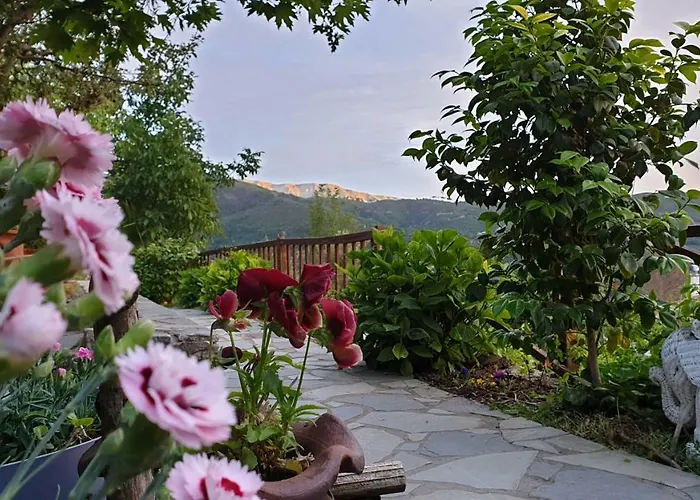 Alagonia Country Homes Alpehytte