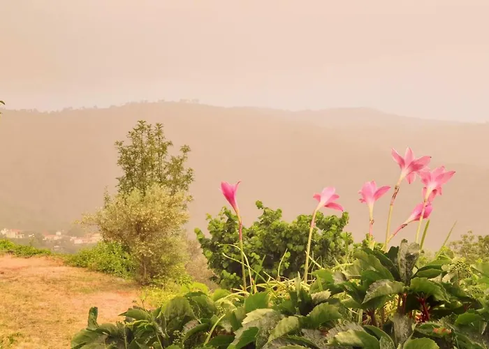 Alagonia Country Homes Alpehytte Alagonía