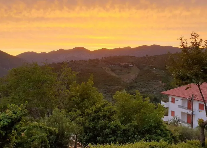 Alagonia Country Homes