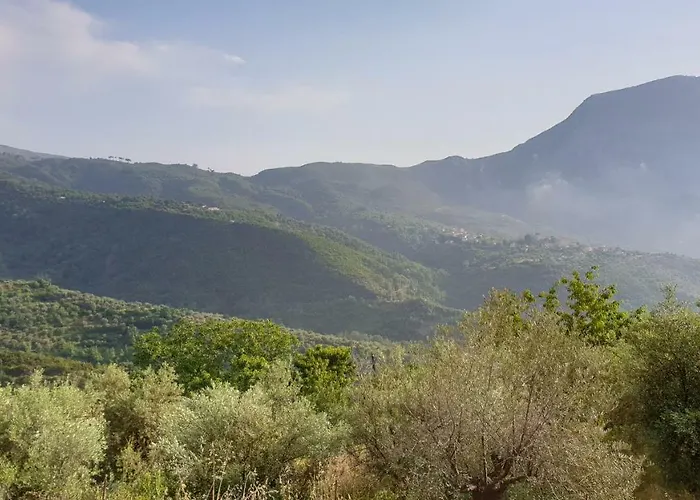 Alagonia Country Homes