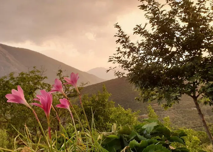 Alpehytte Alagonia Country Homes *