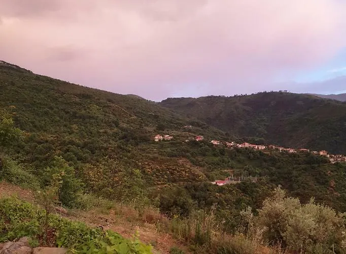 Alagonia Country Homes