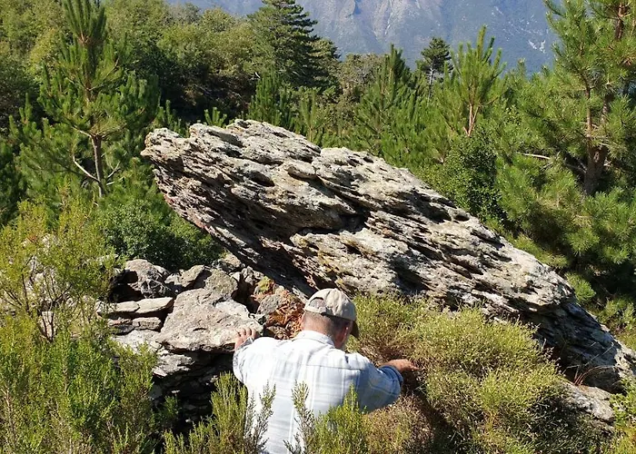 Alpehytte Alagonia Country Homes *