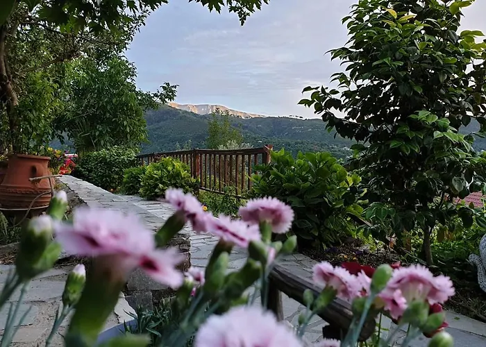 Alpehytte Alagonia Country Homes *