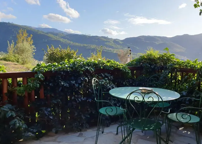 Alagonia Country Homes