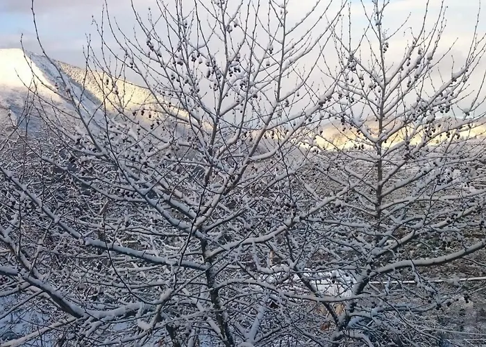 Alpehytte Alagonia Country Homes