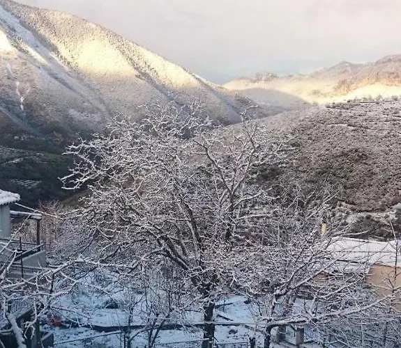 Alagonia Country Homes Alpehytte