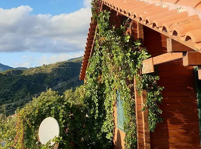 Alagonia Country Homes