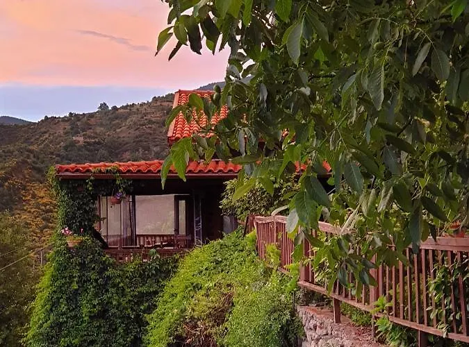 Alagonia Country Homes